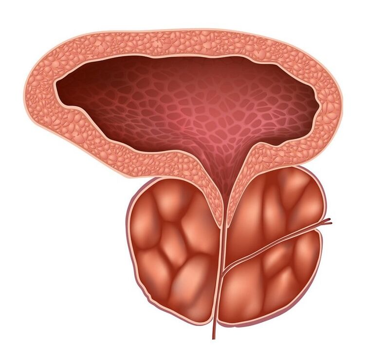 Comment On Peut Attraper Une Prostatite. Acheter des gélules Prostaline en France pour une utilisation contre la